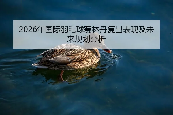 2026年国际羽毛球赛林丹复出表现及未来规划分析