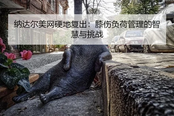 na-da-er-mei-wang-ying-di-fu-chu-xi-shang-fu-he-guan-li-de-zhi-hui-yu-tiao-zhan-2-772.jpg