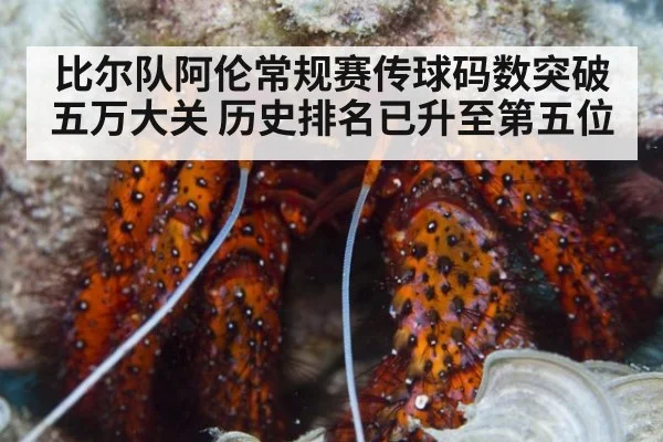 比尔队阿伦常规赛传球码数突破五万大关 历史排名已升至第五位